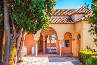 655 -  Alcazaba et Gibralfaro : visite à pied