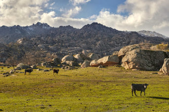 Excursion au parc national de Guadarrama