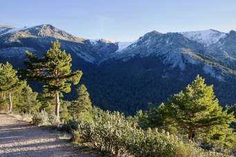 Excursion au parc national de Guadarrama guidée 