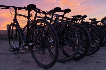 1826 - Séville à vélo : découvrez la ville 