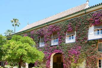 1826 - Visite guidée de 3 heures à Séville