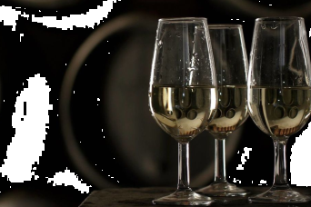 Excursion viticole à Séville day experience