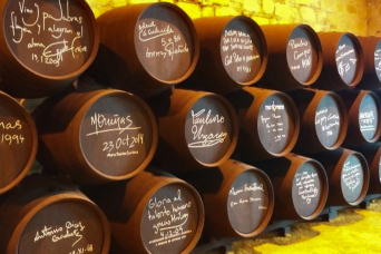 Excursion viticole à Séville avec guide anglais