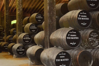 Excursion viticole guidée à Séville day experience