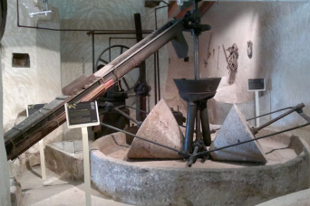  Visite du moulin à huile d'olive