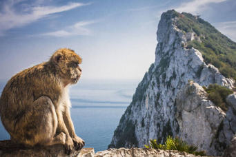Excursion au rocher de Gibraltar au départ de Jerez