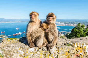 visitez rocher de Gibraltar de Jerez à Gibraltar