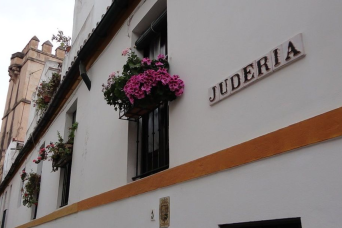 Visite guidée en anglais Séville