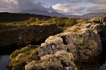 562 - Reykjavik : cercle d'Or et Bains Géothermiques Fo