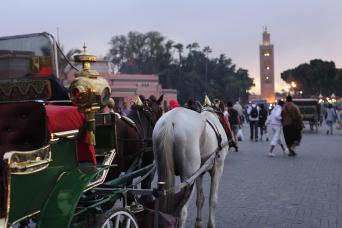 visite et déjeuner à Marrakech 