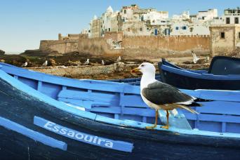 Excursion de 3 jours à Essaouira au départ de Marrakech