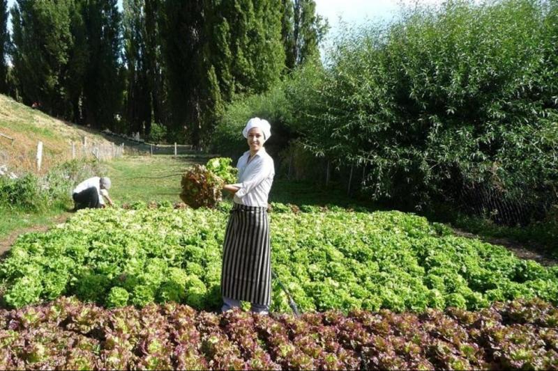 el-galpon-ranch-tour-dinner-5