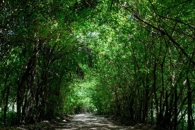 tour-to-sao-miguel-dos-milagres-from-maceio-1