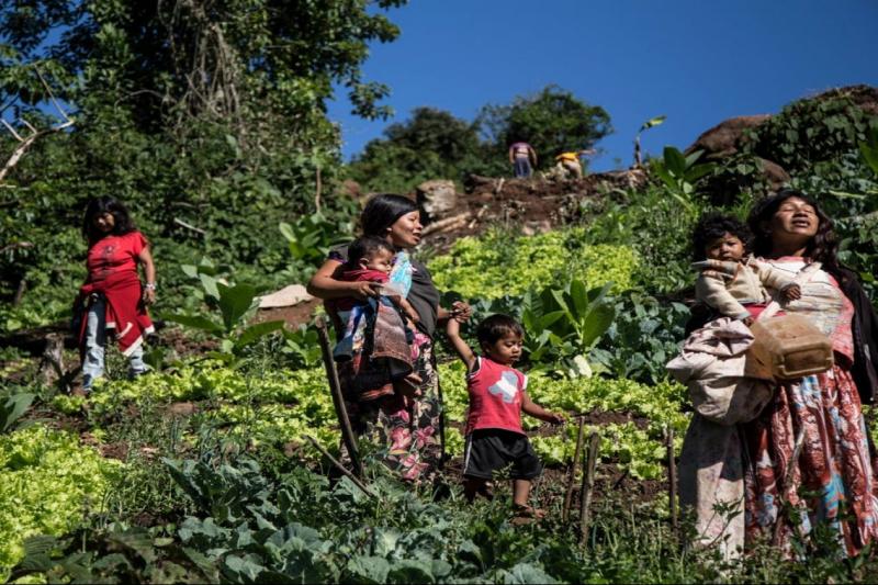 aboriginal-iriapu-village-tour-3