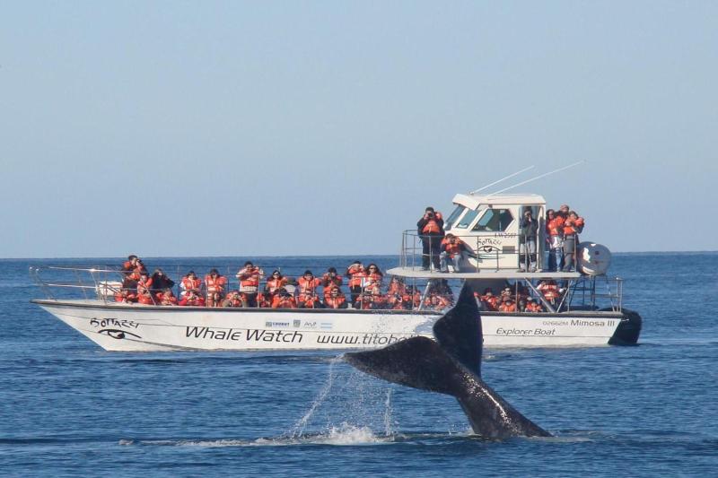 puerto-madryn-and-whale-watching-tour-1