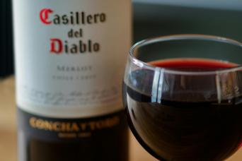 Concha y Toro Vineyard from Santiago