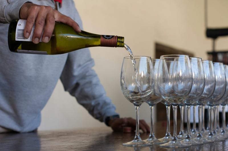 undurraga-vineyard-from-santiago-de-chile-1