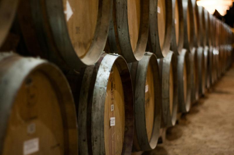 undurraga-vineyard-from-santiago-de-chile-2