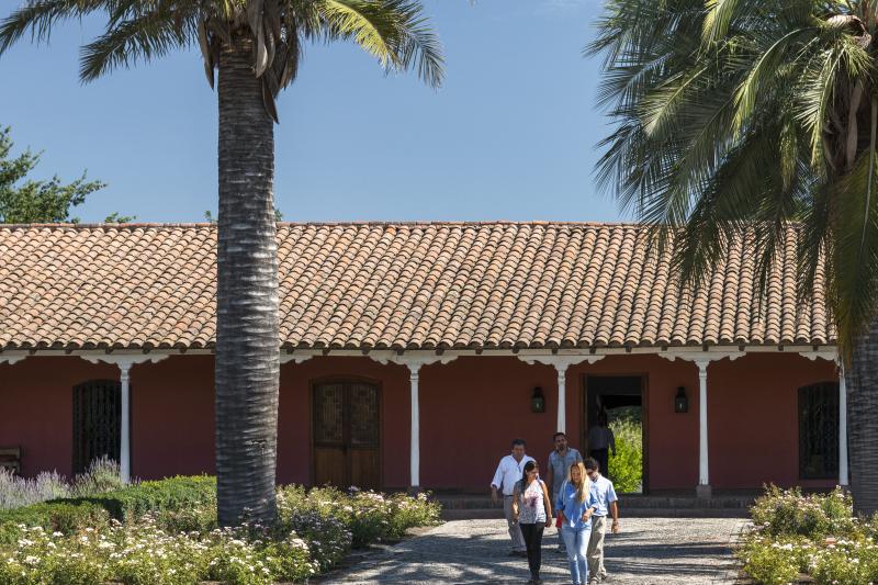 santa-rita-vineyard-from-santiago-1