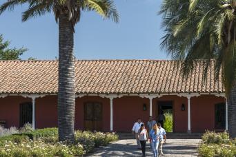 Santa Rita Vineyard from Santiago