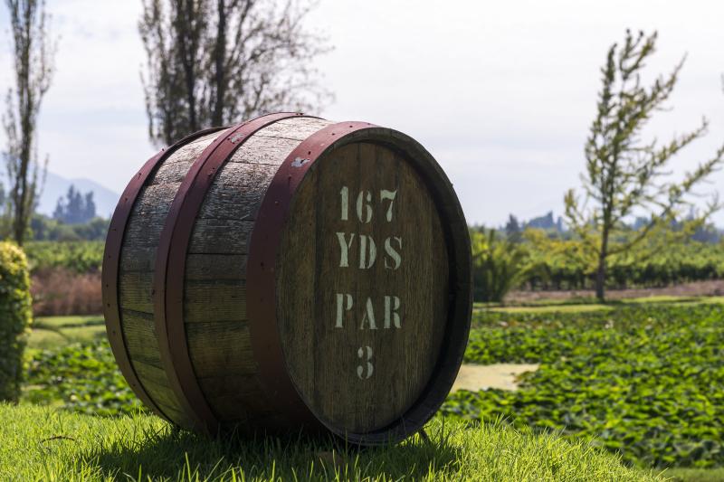 santa-rita-vineyard-from-santiago-3