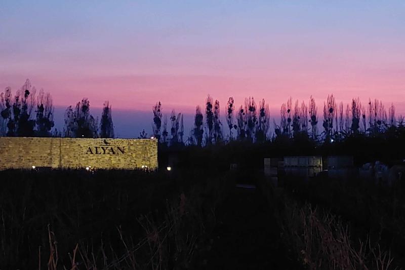 vina-alyan-sunset-wine-experience-4