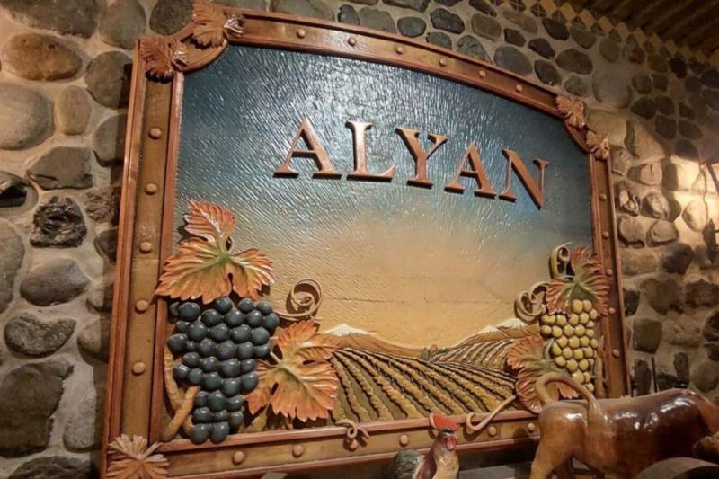vina-alyan-sunset-wine-experience-7