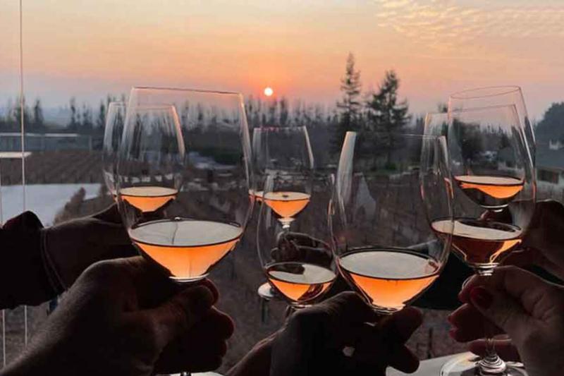 vina-alyan-sunset-wine-experience-8
