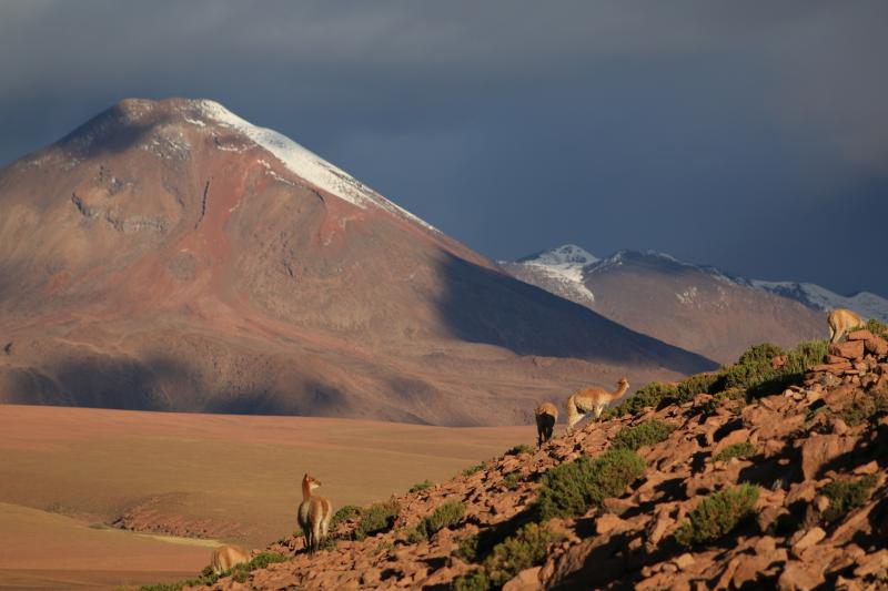 tatio-geyser-machuca-town-andean-adventure-4