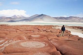 Piedras Rojas & Miscanti Miñiques & Chaxa & Salar