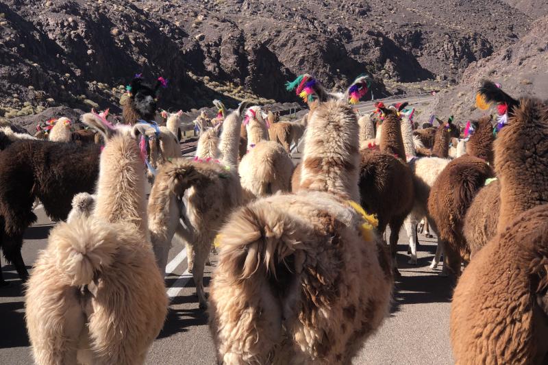 rainbow-valley-and-yerbas-buenas-in-san-pedro-de-a-3