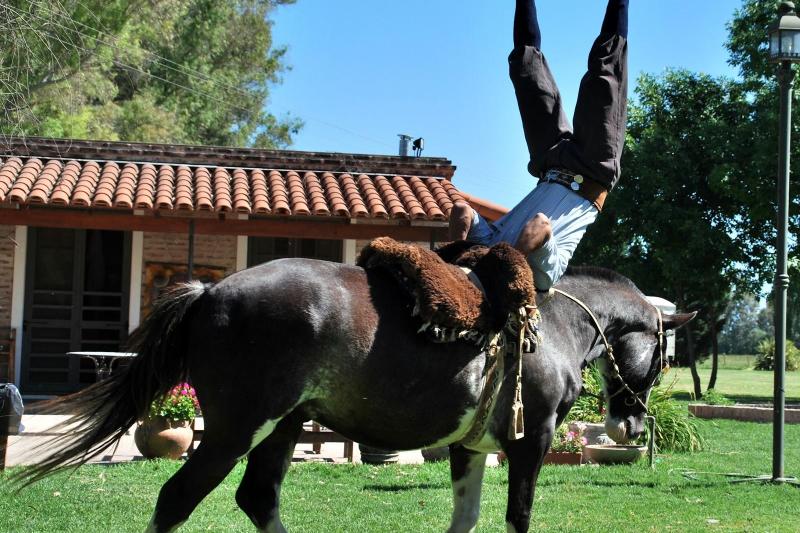 el-ombu-ranch-in-san-antonio-de-areco-2