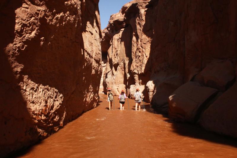 trek-rio-salado-natural-challenge-in-san-pedro-de-1