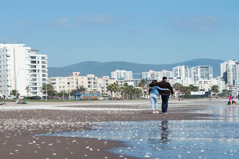 city-tour-la-serena-coquimbo-4