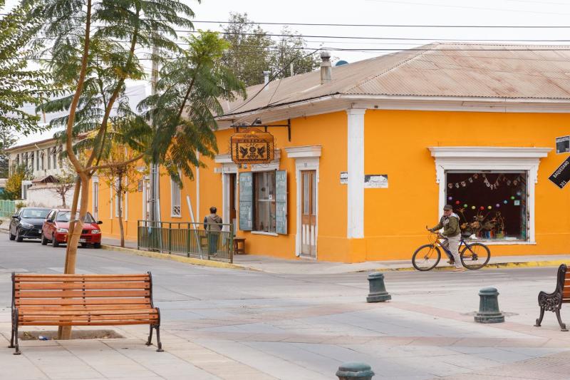 elqui-valley-vineyards-culture-pisco-1