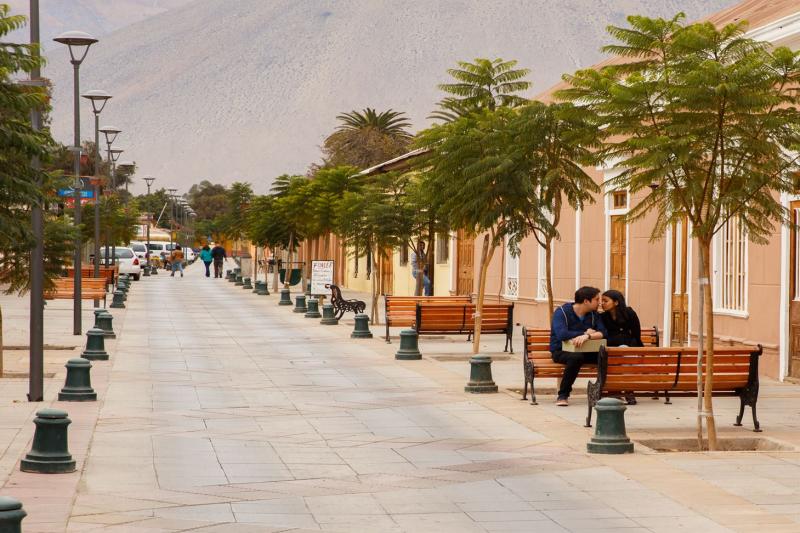 elqui-valley-vineyards-culture-pisco-2
