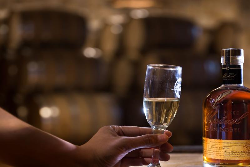 elqui-valley-vineyards-culture-pisco-4