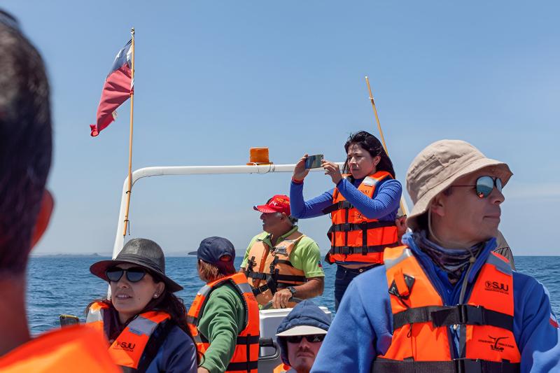 whale-watching-on-chanaral-island-from-la-serena-4