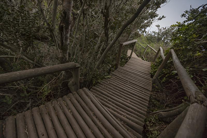 trekking-in-fray-jorge-national-park-from-la-seren-3