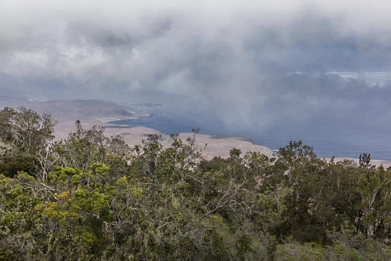 trekking-in-fray-jorge-national-park-from-la-seren-4