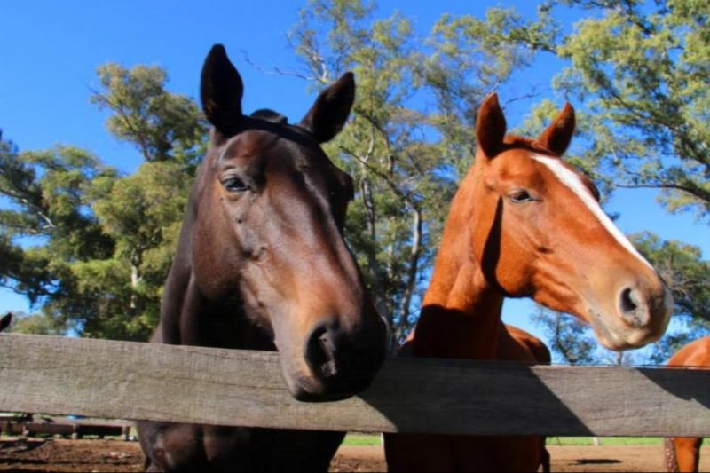 polo-experience-at-estancia-villa-maria-4