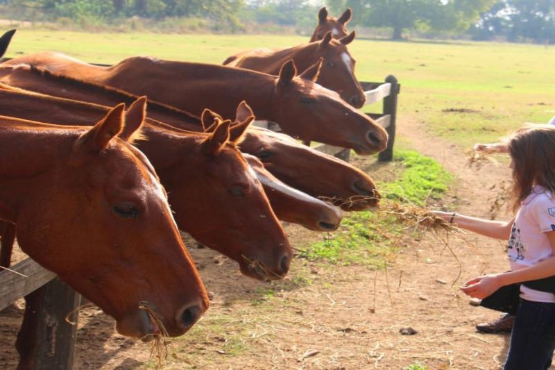 polo-experience-at-estancia-villa-maria-8