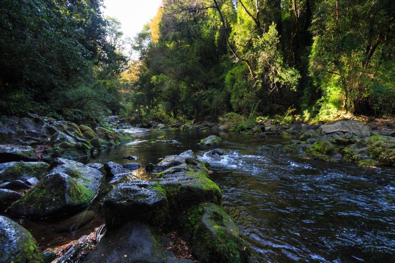 adventure-to-ojos-del-caburga-from-pucon-2