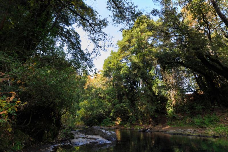 adventure-to-ojos-del-caburga-from-pucon-4