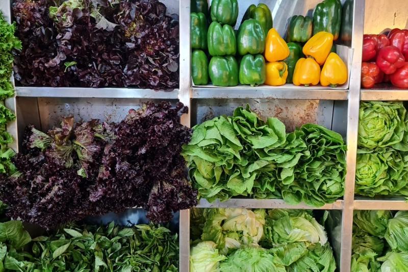 market-experience-and-ceviche-cooking-class-3