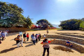 Day trip to Nazca from Huacachina