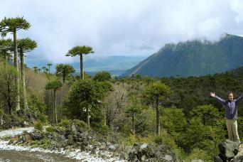 Trek to Conguillio National Park from Pucon