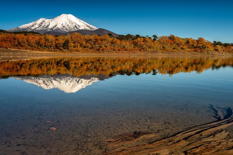 trek-to-conguillio-national-park-from-pucon-2