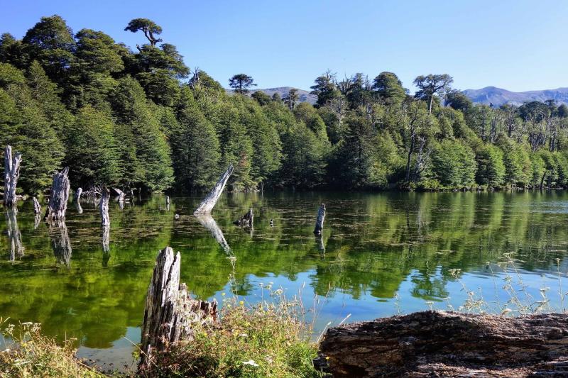 trek-to-conguillio-national-park-from-pucon-3