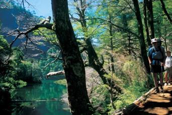 Trek to Huerquehue National Park from Pucon
